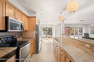 1120 Dale Ave, Aspen, CO 81611 - Photo 11