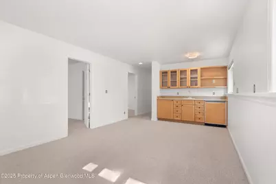 1120 Dale Avenue, Aspen, CO 81611 - Photo 29
