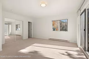 1120 Dale Ave, Aspen, CO 81611 - Photo 25