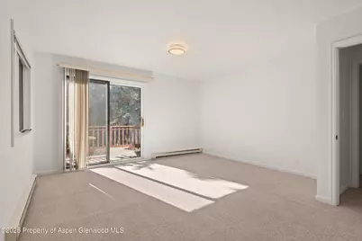 1120 Dale Avenue, Aspen, CO 81611 - Photo 23