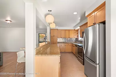 1120 Dale Avenue, Aspen, CO 81611 - Photo 9