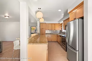 1120 Dale Ave, Aspen, CO 81611 - Photo 9