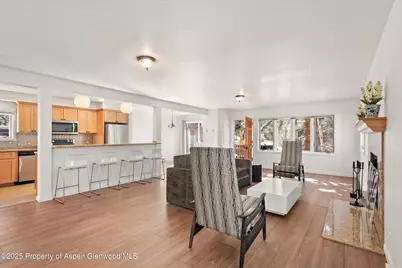 1120 Dale Avenue, Aspen, CO 81611 - Photo 7