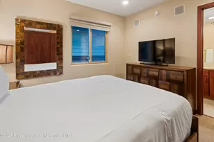 650 S Monarch St, Aspen, CO 81611 - Photo 29