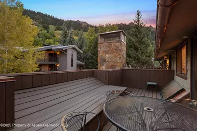 650 S Monarch Street #Unit 4, Aspen, CO 81611 - Photo 21