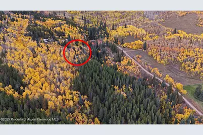 1315 Ruedi Creek Road, Basalt, CO 81621 - Photo 39