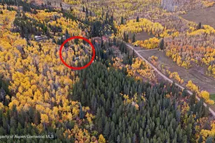 1315 Ruedi Creek Rd, Basalt, CO 81621 - Photo 39