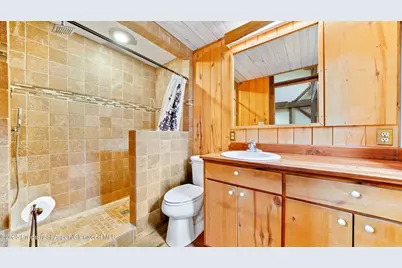 1315 Ruedi Creek Road, Basalt, CO 81621 - Photo 17