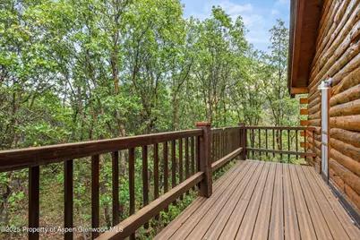 166 Ute Trail, Carbondale, CO 81623 - Photo 27