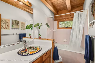 166 Ute Trail, Carbondale, CO 81623 - Photo 35