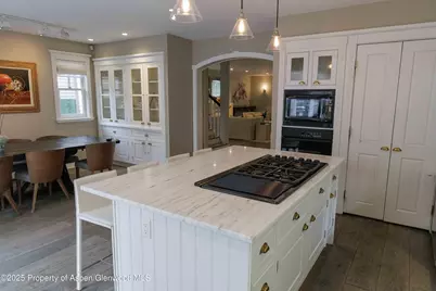 229 W Hallam Street, Aspen, CO 81611 - Photo 15