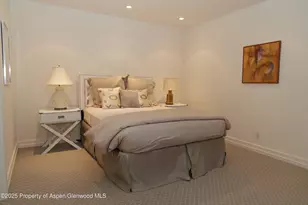 229 W Hallam St, Aspen, CO 81611 - Photo 23