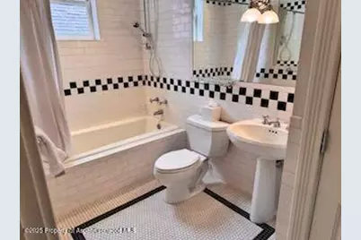 229 W Hallam Street, Aspen, CO 81611 - Photo 29