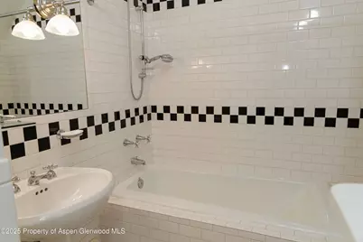 229 W Hallam Street, Aspen, CO 81611 - Photo 31