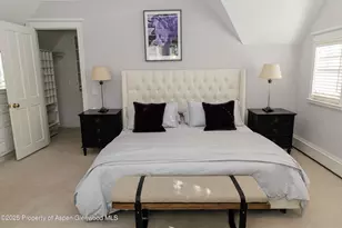 229 W Hallam St, Aspen, CO 81611 - Photo 19