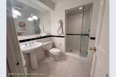 229 W Hallam Street, Aspen, CO 81611 - Photo 25