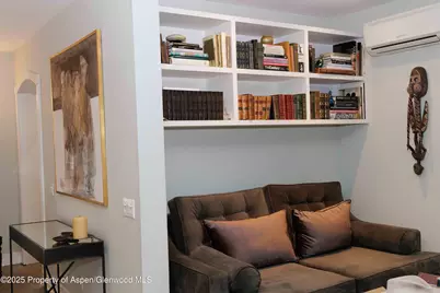 229 W Hallam Street, Aspen, CO 81611 - Photo 9
