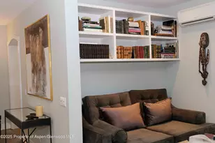 229 W Hallam St, Aspen, CO 81611 - Photo 9