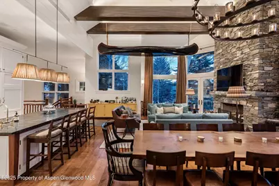 304 S Garmisch Street, Aspen, CO 81611 - Photo 13