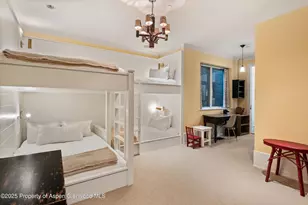 304 S Garmisch St, Aspen, CO 81611 - Photo 31