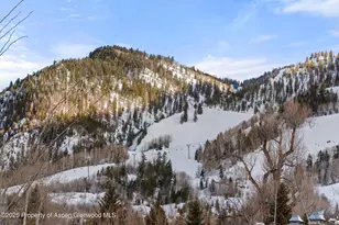 304 S Garmisch St, Aspen, CO 81611 - Photo 39