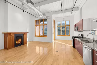 231 Robinson Street #226, Basalt, CO 81621 - Photo 3