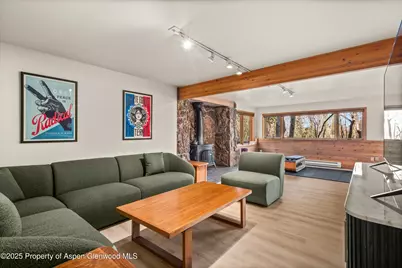 28 Larkspur Lane, Aspen, CO 81611 - Photo 23