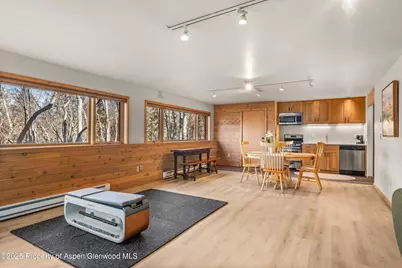 28 Larkspur Lane, Aspen, CO 81611 - Photo 25
