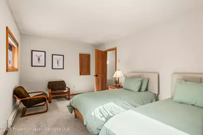 28 Larkspur Lane, Aspen, CO 81611 - Photo 21