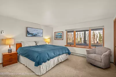 28 Larkspur Lane, Aspen, CO 81611 - Photo 27