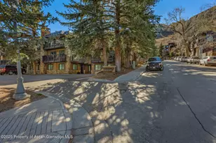 650 S Monarch St, Aspen, CO 81611 - Photo 43