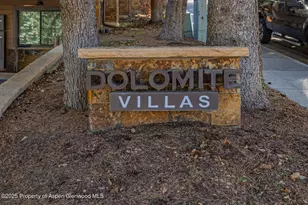 650 S Monarch St, Aspen, CO 81611 - Photo 45