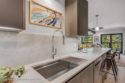 650 S Monarch Street #Unit 7, Aspen, CO 81611 - Photo 13