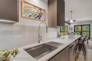 650 S Monarch St, Aspen, CO 81611 - Photo 13