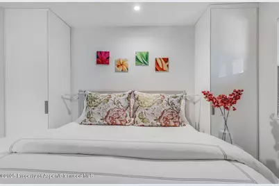 650 S Monarch Street #Unit 7, Aspen, CO 81611 - Photo 27