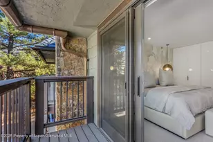 650 S Monarch St, Aspen, CO 81611 - Photo 21