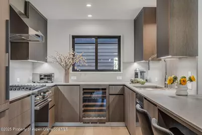 650 S Monarch Street #Unit 7, Aspen, CO 81611 - Photo 9