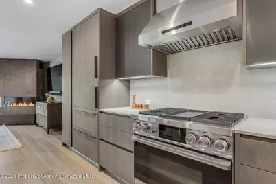 650 S Monarch Street #Unit 7, Aspen, CO 81611 - Photo 11