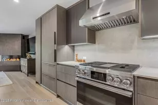 650 S Monarch St, Aspen, CO 81611 - Photo 11