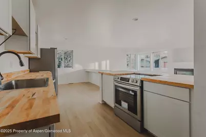 253 Surrey Street, Carbondale, CO 81623 - Photo 9