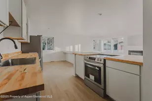 253 Surrey St, Carbondale, CO 81623 - Photo 9