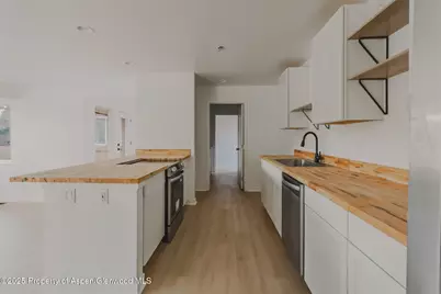 253 Surrey Street, Carbondale, CO 81623 - Photo 11