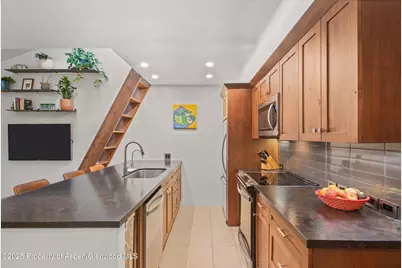 910 W Hallam Street #Unit 11, Aspen, CO 81611 - Photo 7