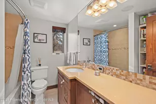 910 W Hallam St, Aspen, CO 81611 - Photo 11