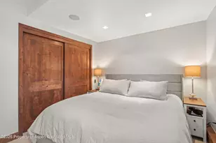 910 W Hallam St, Aspen, CO 81611 - Photo 9