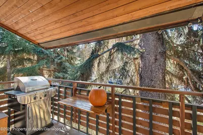 910 W Hallam Street #Unit 11, Aspen, CO 81611 - Photo 5