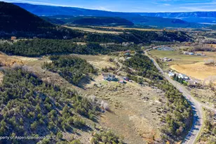 54043 Hwy 330, Collbran, CO 81624 - Photo 37