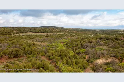 18975 Elk Rserve Road, Glade Park, CO 81523 - Photo 9