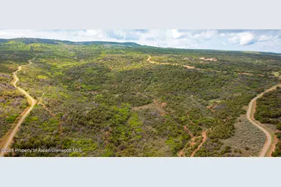 18975 Elk Rserve Road, Glade Park, CO 81523 - Photo 7