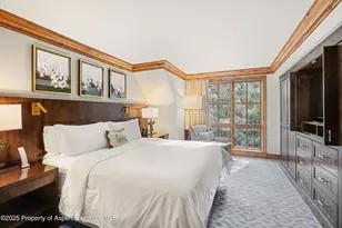 315 E Dean St, Aspen, CO 81611 - Photo 17